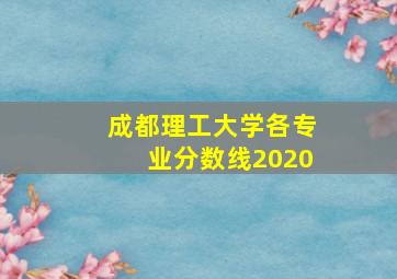 成都理工大学各专业分数线2020