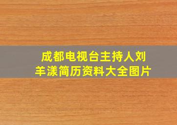 成都电视台主持人刘羊漾简历资料大全图片