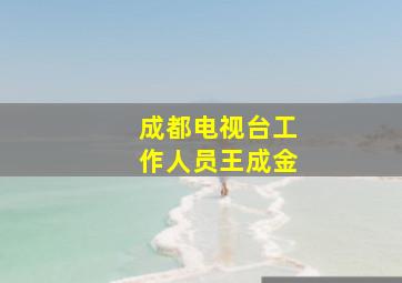 成都电视台工作人员王成金