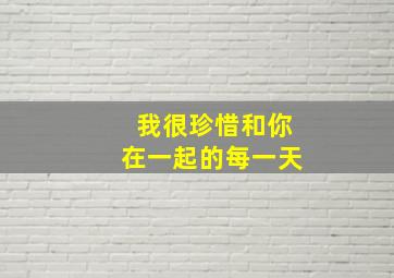 我很珍惜和你在一起的每一天