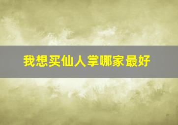 我想买仙人掌哪家最好