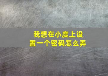 我想在小度上设置一个密码怎么弄