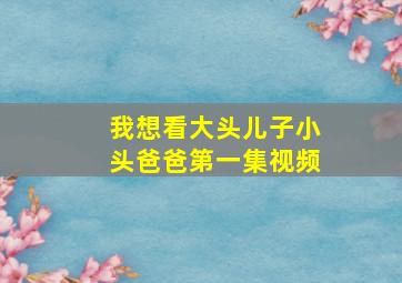 我想看大头儿子小头爸爸第一集视频