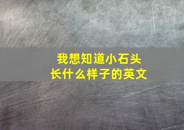 我想知道小石头长什么样子的英文