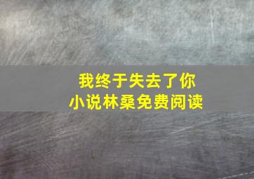 我终于失去了你小说林桑免费阅读