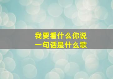 我要看什么你说一句话是什么歌