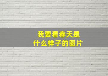 我要看春天是什么样子的图片