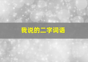 我说的二字词语