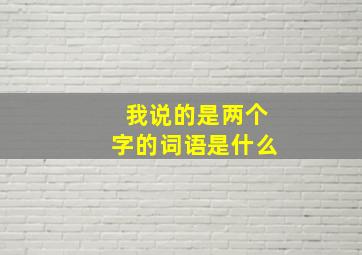 我说的是两个字的词语是什么