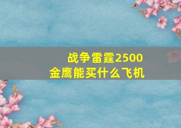 战争雷霆2500金鹰能买什么飞机