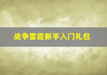 战争雷霆新手入门礼包