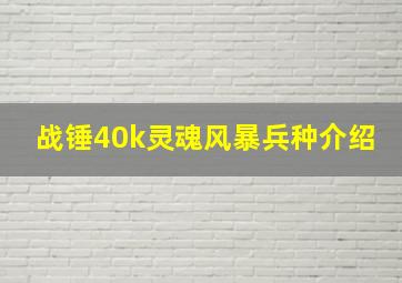 战锤40k灵魂风暴兵种介绍