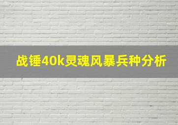 战锤40k灵魂风暴兵种分析