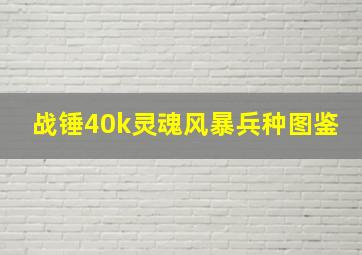 战锤40k灵魂风暴兵种图鉴