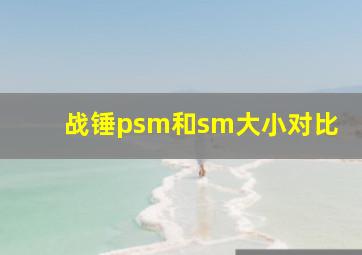 战锤psm和sm大小对比