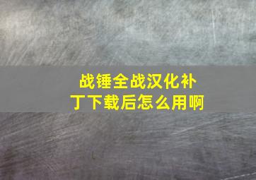 战锤全战汉化补丁下载后怎么用啊