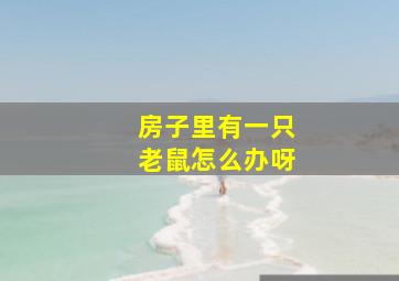 房子里有一只老鼠怎么办呀