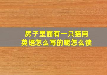 房子里面有一只猫用英语怎么写的呢怎么读