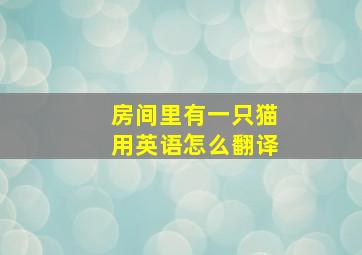 房间里有一只猫用英语怎么翻译