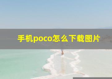 手机poco怎么下载图片