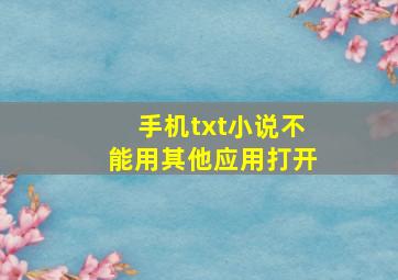 手机txt小说不能用其他应用打开