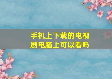 手机上下载的电视剧电脑上可以看吗