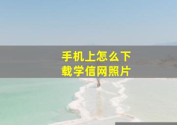 手机上怎么下载学信网照片