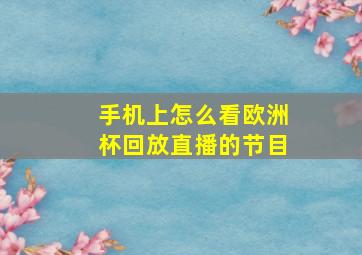 手机上怎么看欧洲杯回放直播的节目