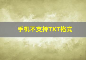 手机不支持TXT格式