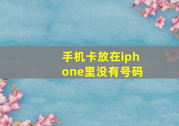 手机卡放在iphone里没有号码