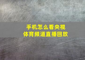 手机怎么看央视体育频道直播回放