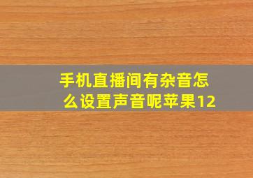 手机直播间有杂音怎么设置声音呢苹果12