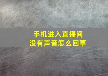 手机进入直播间没有声音怎么回事