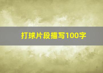 打球片段描写100字