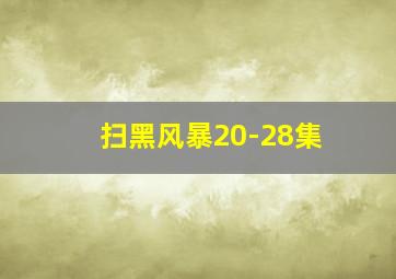 扫黑风暴20-28集