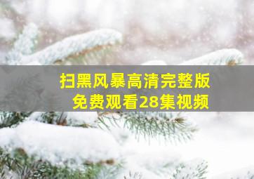 扫黑风暴高清完整版免费观看28集视频