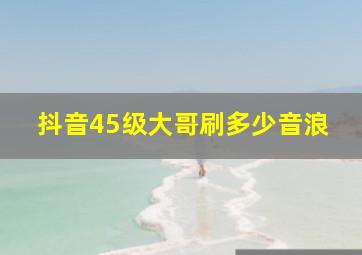 抖音45级大哥刷多少音浪