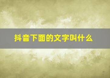 抖音下面的文字叫什么