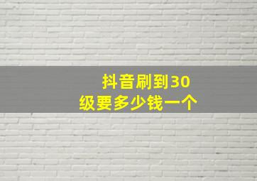 抖音刷到30级要多少钱一个