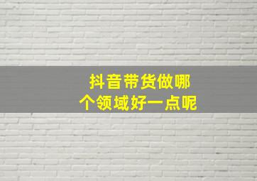 抖音带货做哪个领域好一点呢