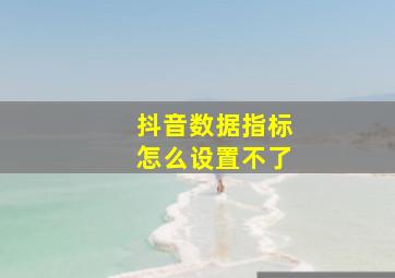 抖音数据指标怎么设置不了