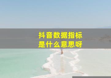 抖音数据指标是什么意思呀