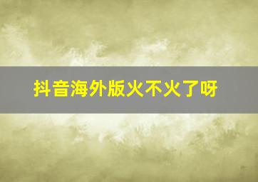 抖音海外版火不火了呀