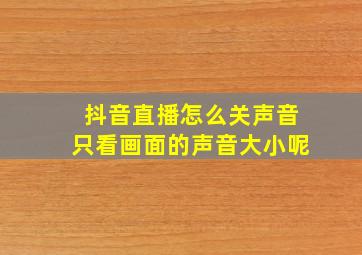 抖音直播怎么关声音只看画面的声音大小呢