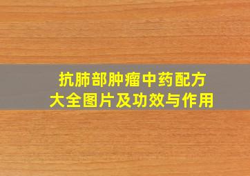 抗肺部肿瘤中药配方大全图片及功效与作用