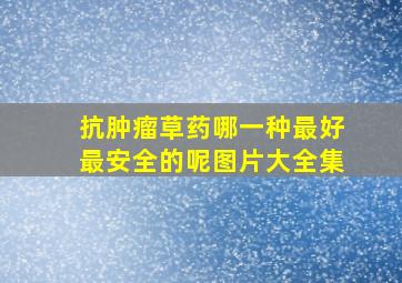 抗肿瘤草药哪一种最好最安全的呢图片大全集