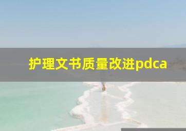 护理文书质量改进pdca