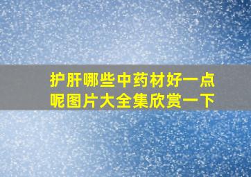 护肝哪些中药材好一点呢图片大全集欣赏一下