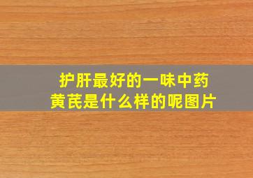 护肝最好的一味中药黄芪是什么样的呢图片