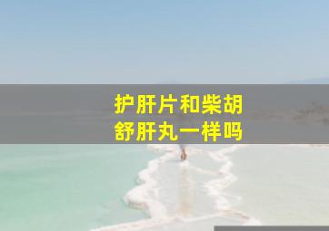 护肝片和柴胡舒肝丸一样吗